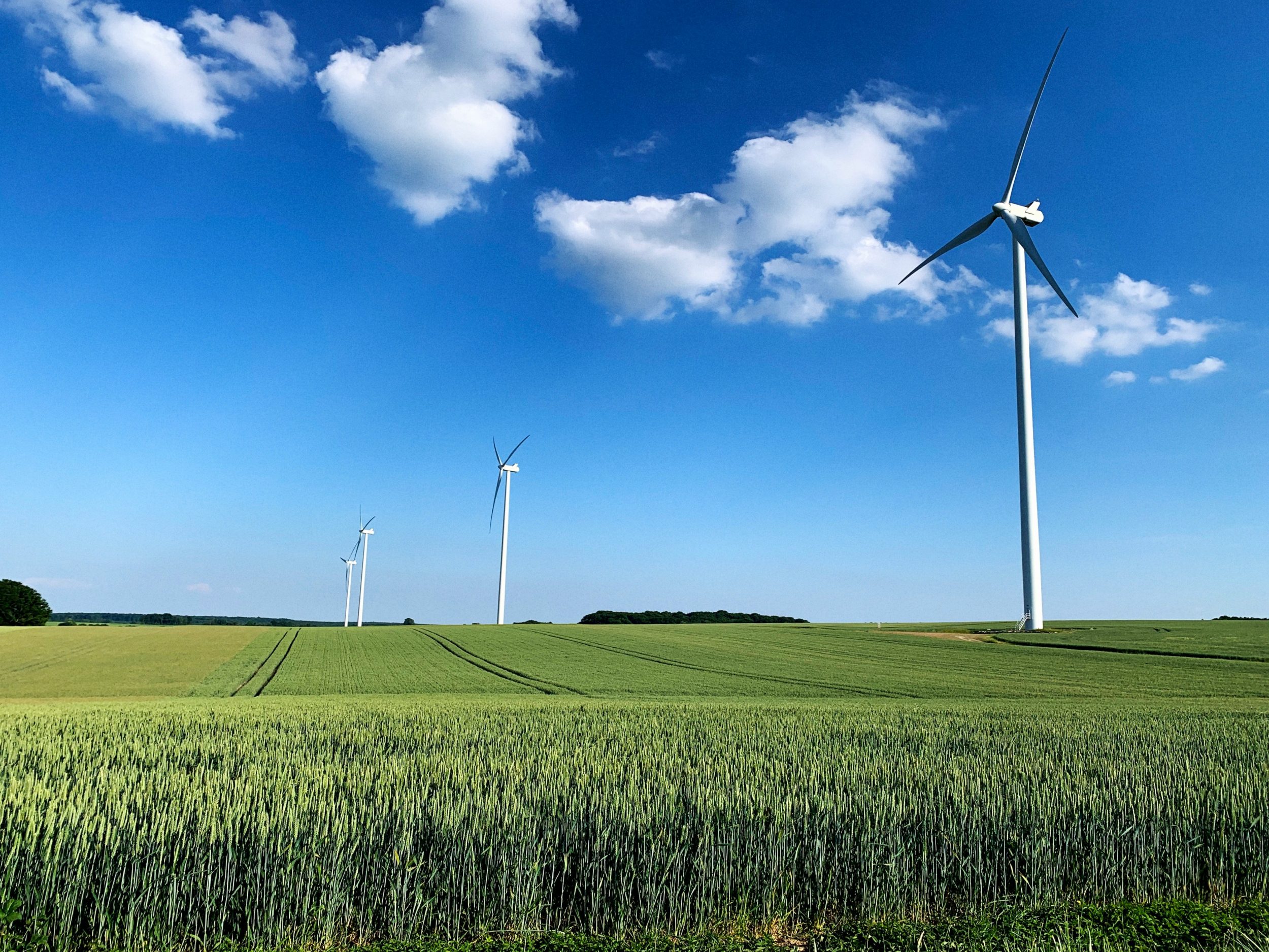 Wind Turbines in Field