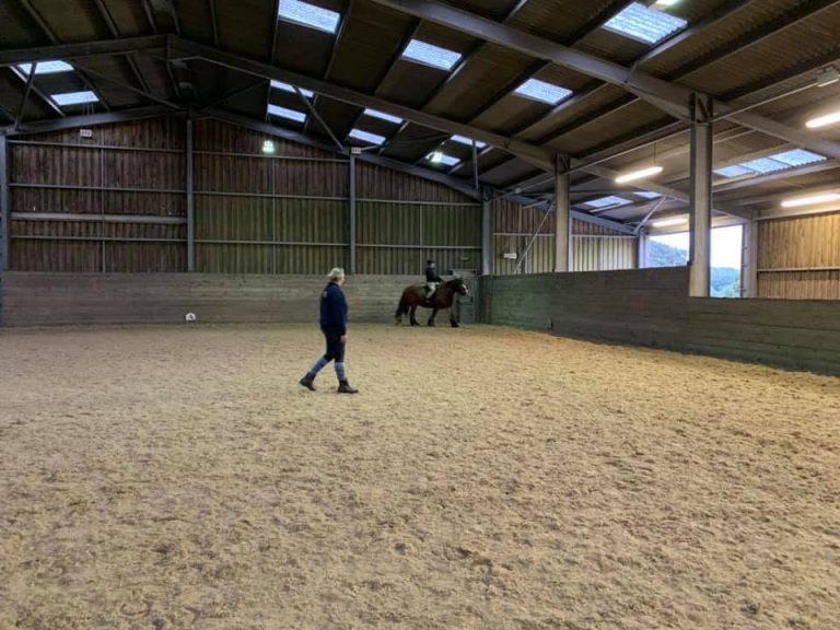 Barguse Riding Centre Horse Indoors